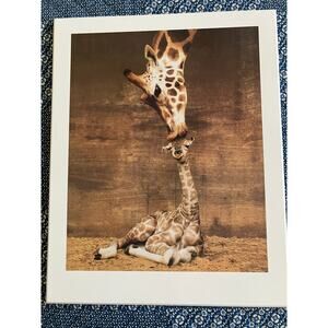 Ron D'Raine 'Makulu - Giraffe First Kiss' Art Print 
on Wood